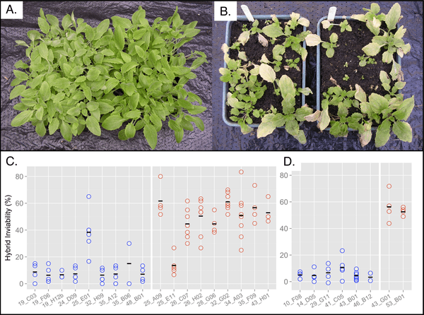 journal.pbio.1001497.g003