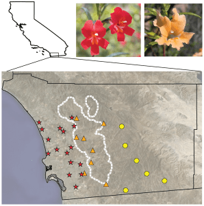 journal.pgen.1003385.g001