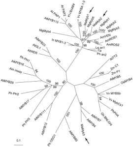 journal.pgen.1003385.g003