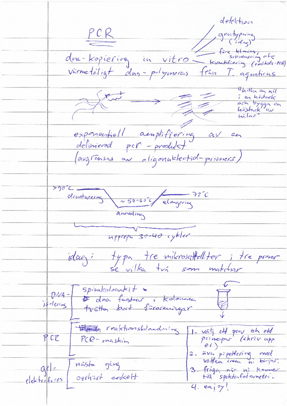 pcr_notes