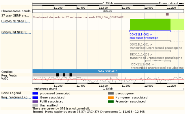 ensembl_human_chr1