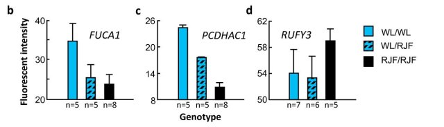 heritability_methylation_fig4b