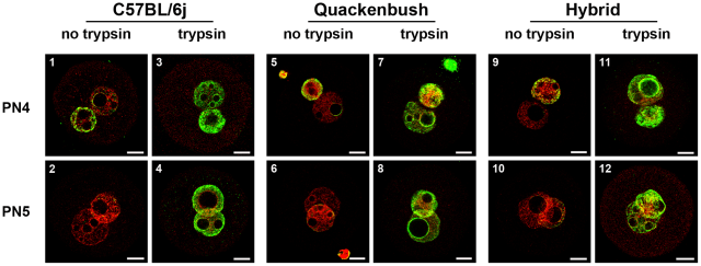 journal.pone.0030687.g008
